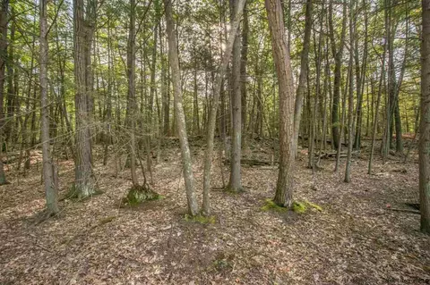 266 South Rd, Ruby, NY 12475 photo 24