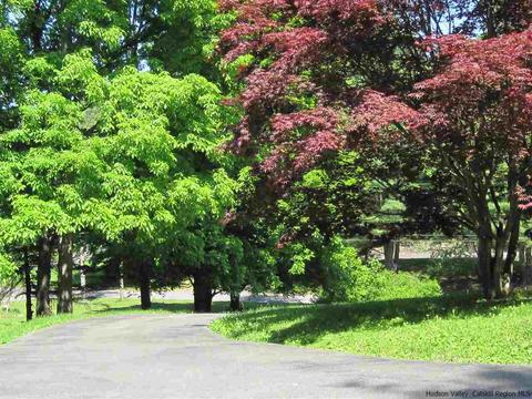 155 Yantz, Red Hook, NY 12571 photo 5