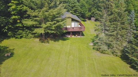 192 Baldwin Ln, Pine Hill, NY 12465 photo 2