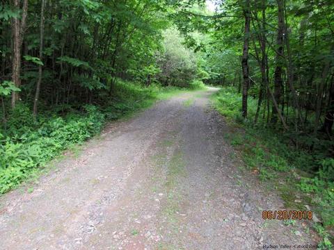 192 Baldwin Ln, Pine Hill, NY 12465 photo 29