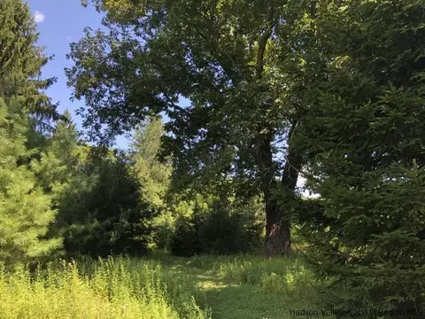1237 County Route 2, Olivebridge, NY 12461 photo 21