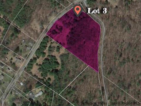 105 Sheldon Hill Rd, Olivebridge, NY 12461 photo 33