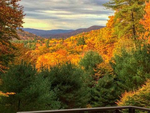 262 Grog Kill Rd, Willow, NY 12495 photo 5