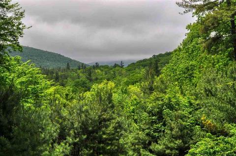 262 Grog Kill Rd, Willow, NY 12495 photo 9