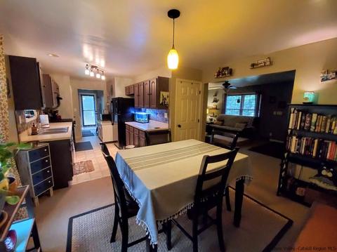 33 Pine St, Cairo, NY 12413 photo 10