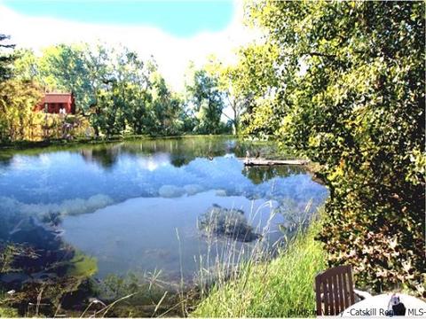 307 Meeker, Wallkill, NY 12589 photo 5