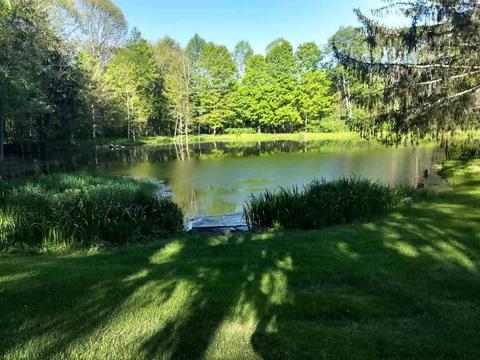 345 E Fallkill Rd, Hyde Park, NY 12538 photo 31