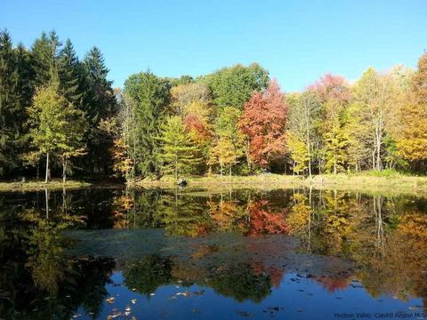345 E Fallkill Rd, Hyde Park, NY 12538 photo 33