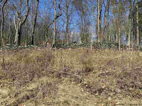 28 Splitree Dr, Wappingers Falls, NY 12590 photo 33