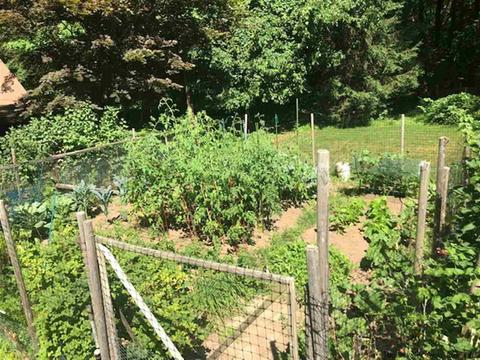 19 Smith St, Red Hook, NY 12571 photo 32