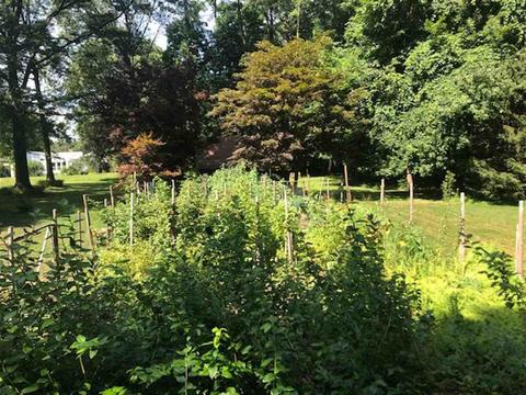 19 Smith St, Red Hook, NY 12571 photo 35