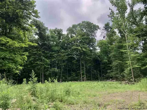 25 Emily, Wallkill, NY 12589 photo 29