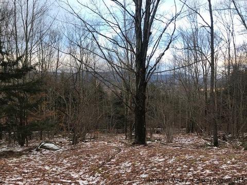 2 Twin Maples Ln, Windham, NY 12496 photo 12