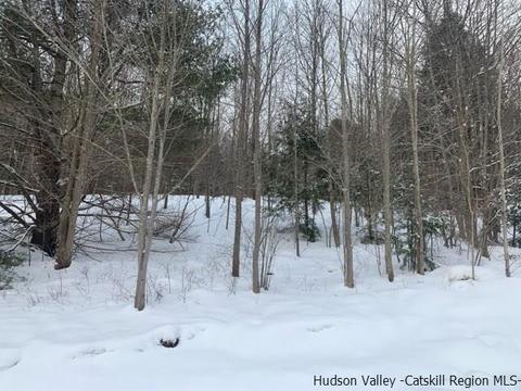 2 Twin Maples Ln, Windham, NY 12496 photo 16