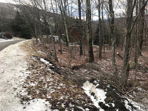 2 Twin Maples Ln, Windham, NY 12496 photo 6