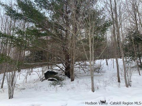 2 Twin Maples Ln, Windham, NY 12496 photo 17