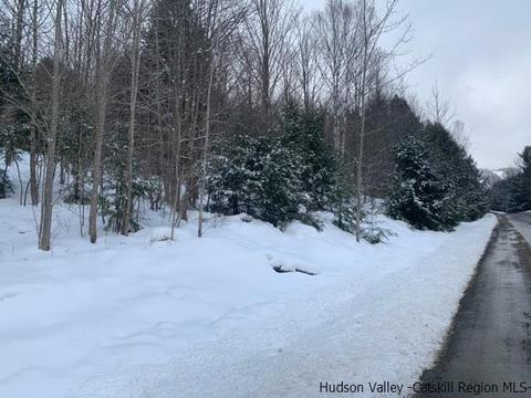 2 Twin Maples Ln, Windham, NY 12496 photo 15