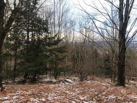 2 Twin Maples Ln, Windham, NY 12496 photo 9