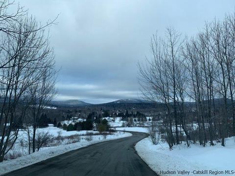 2 Twin Maples Ln, Windham, NY 12496 photo 18
