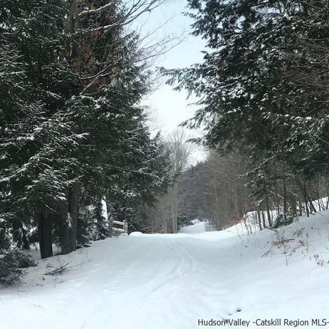 2 Twin Maples Ln, Windham, NY 12496 photo 33