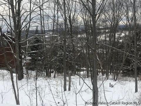 2 Twin Maples Ln, Windham, NY 12496 photo 30