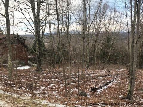 2 Twin Maples Ln, Windham, NY 12496 photo 20