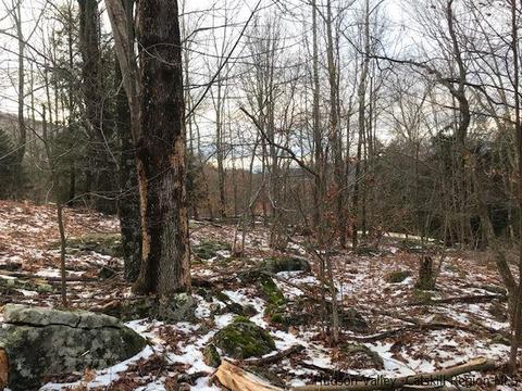 2 Twin Maples Ln, Windham, NY 12496 photo 8