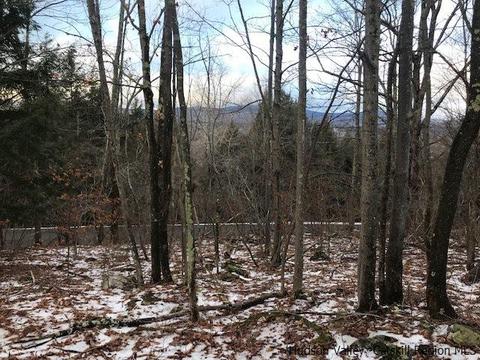 2 Twin Maples Ln, Windham, NY 12496 photo 10