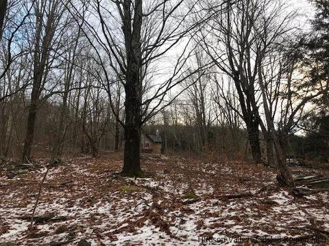 2 Twin Maples Ln, Windham, NY 12496 photo 11