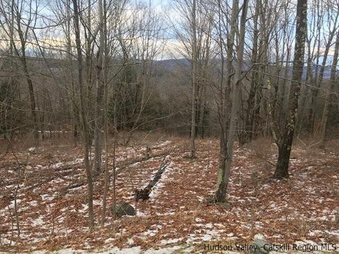 2 Twin Maples Ln, Windham, NY 12496 photo 7