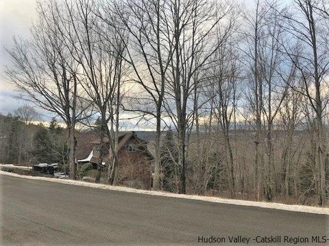 2 Twin Maples Ln, Windham, NY 12496 photo 3