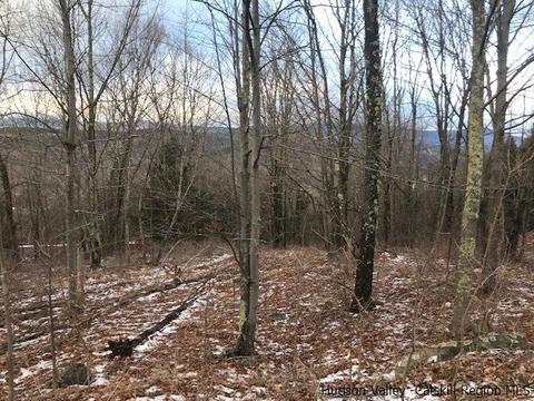 2 Twin Maples Ln, Windham, NY 12496 photo 19