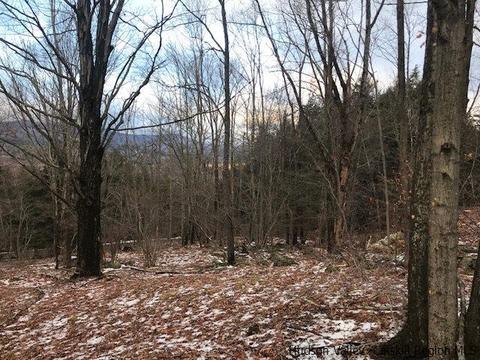 2 Twin Maples Ln, Windham, NY 12496 photo 14