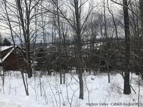 2 Twin Maples Ln, Windham, NY 12496 photo 26