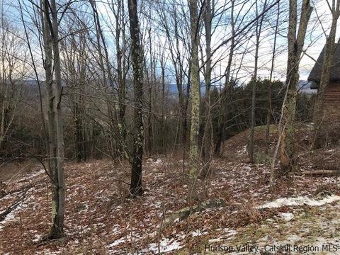 2 Twin Maples Ln, Windham, NY 12496 photo 13