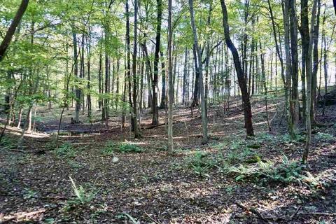 4 Arrowhead Ridge Rd, Saugerties, NY 12477