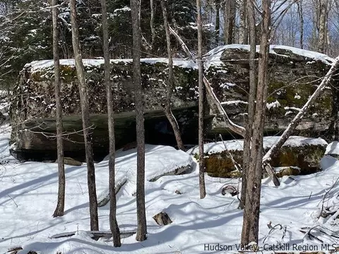 Other - 2159 Route 296, Hunter, NY 12442 photo 11 of 24