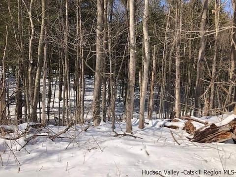 39 Travis Blvd, Catskill, NY 12414 photo 5