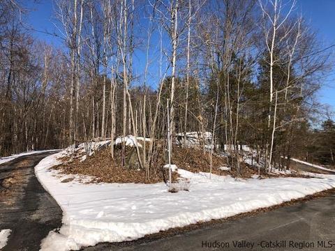 39 Travis Blvd, Catskill, NY 12414 photo 14