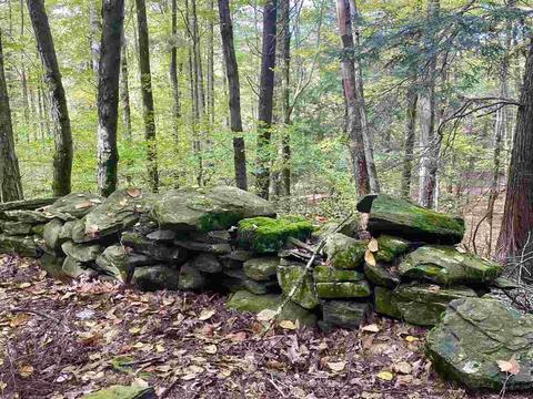 30 Cross Rd, Olivebridge, NY 12461 photo 3