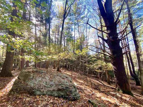 30 Cross Rd, Olivebridge, NY 12461 photo 14