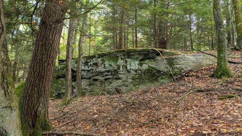 30 Cross Rd, Olivebridge, NY 12461 photo 21