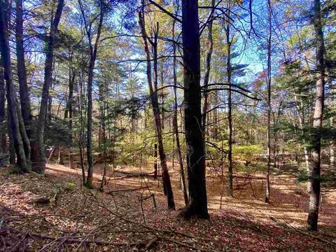 30 Cross Rd, Olivebridge, NY 12461 photo 18