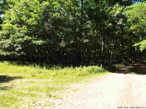 Tbd Charles Rd And Lacorte Road Ext., Catskill, NY 12414