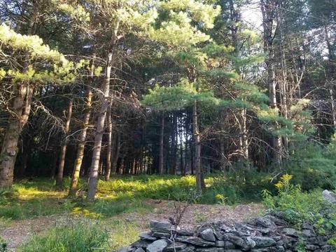 Tbd Irish Cape Road, Napanoch, NY 12428