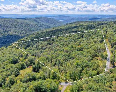 Tbd Red Hill Road, Denning, NY 12725