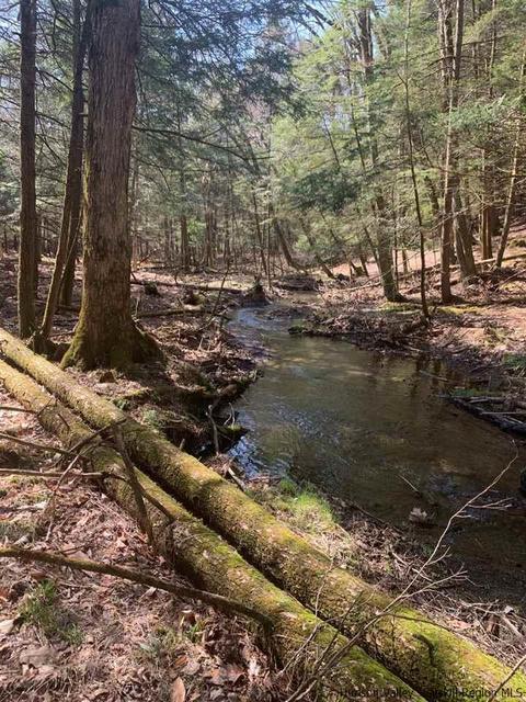 City Hall Road, Kerhonkson, NY 12446
