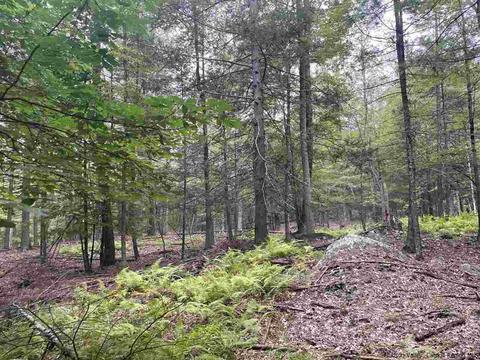 Tbd Ricci Road, Accord, NY 12404
