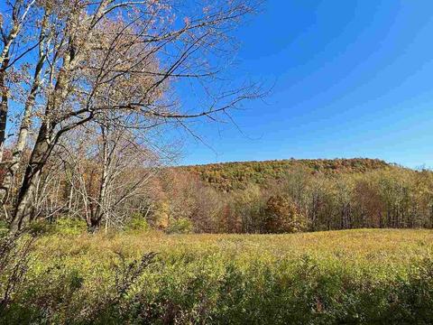 Tbd Keller Road, Callicoon Center, NY 12724