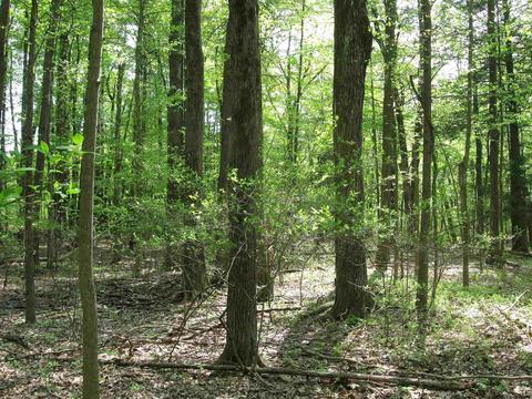 Lot Tbd John Yaeger Road, Saugerties, NY 12477